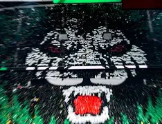  美国犹他大学qs世界排名 