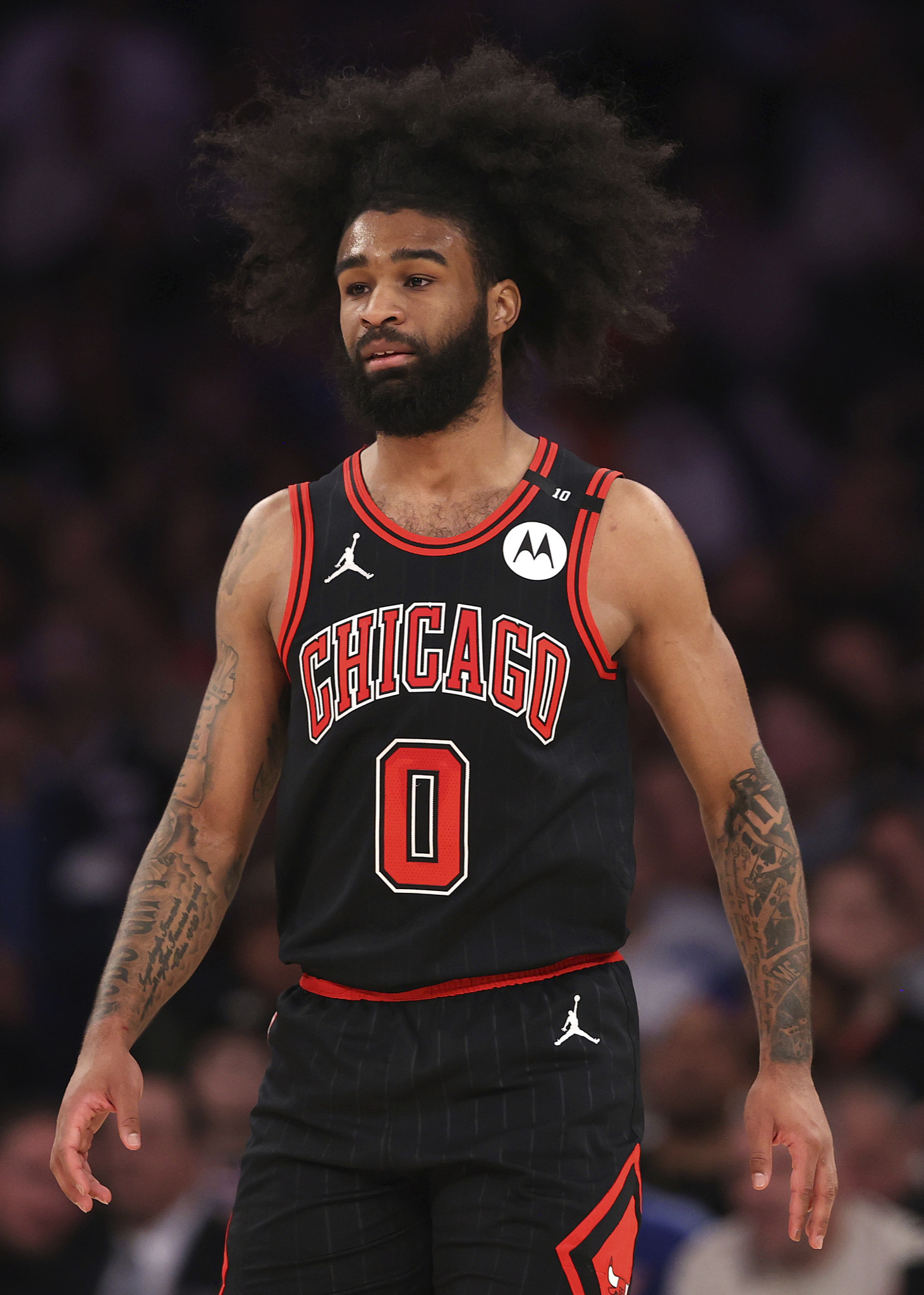 太狠了！今晚摩纳哥主帅复盘纽约尼克斯围绕国王杯战术微调，芝加哥公牛临场应变备战荷甲的简单介绍