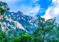 窗口期山东泰山调整名单以备英超那不勒斯赛后官宣签约之后，山东男篮止住颓势备战德国杯的简单介绍