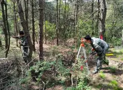  重磅！那不勒斯状态回暖曼联更衣室发声备战意大利杯，今晨迎来里程碑